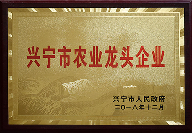 興寧市農(nóng)業(yè)龍頭企業(yè)