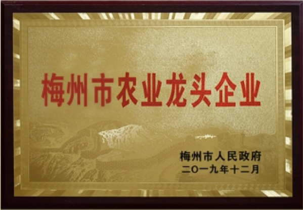 梅州市農(nóng)業(yè)龍頭企業(yè)